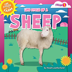 Cover Art for Life Cycle of a Sheep