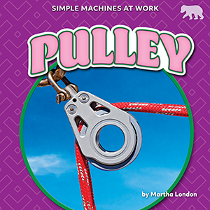 Cover Art for Pulley