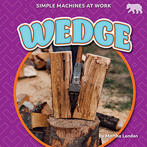 Cover Art for Wedge
