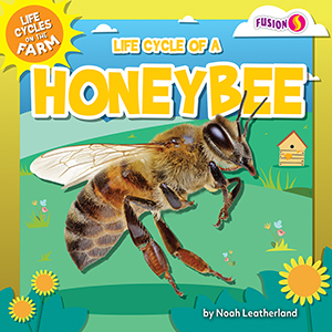 Cover Art for Life Cycle of a Honeybee