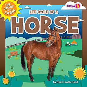 Cover Art for Life Cycle of a Horse