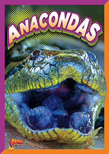 Cover Art for Anacondas