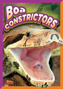 Cover Art for Boa Constrictors