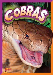 Cover Art for Cobras