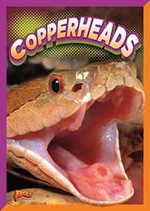 Cover Art for Copperheads