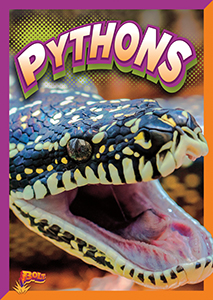 Cover Art for Pythons