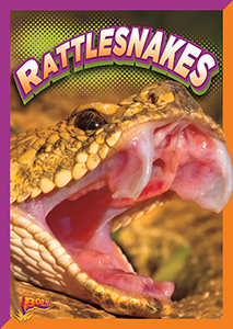 Cover Art for Rattlesnakes