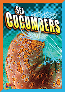 Cover Art for Sea Cucumbers