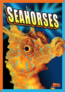 Cover Art for Seahorses