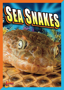 Cover Art for Sea Snakes