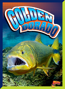 Cover Art for Golden Dorado