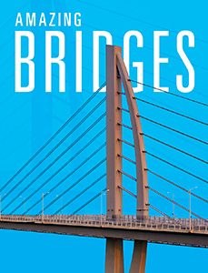 Cover Art for Amazing Bridges
