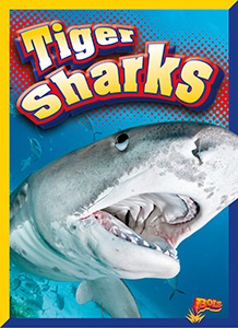Cover Art for Tiger Sharks