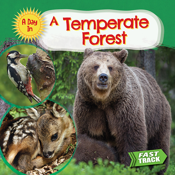 Cover Art for A Temperate Forest