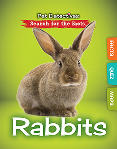Cover Art for Rabbits