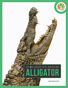 Cover Art for Alligator