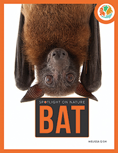 Cover Art for Bat