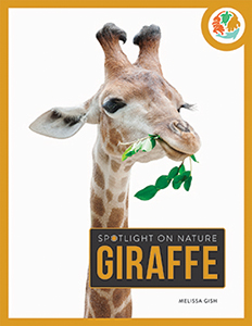 Cover Art for Giraffe