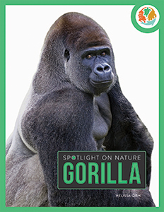 Cover Art for Gorilla