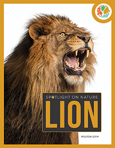 Cover Art for Lion