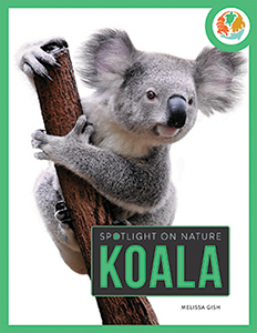 Cover Art for Koala