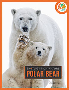 Cover Art for Polar Bear