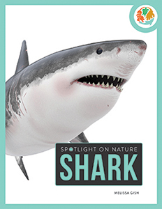 Cover Art for Shark