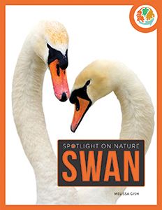 Cover Art for Swan