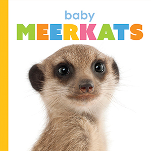 Cover Art for Baby Meerkats