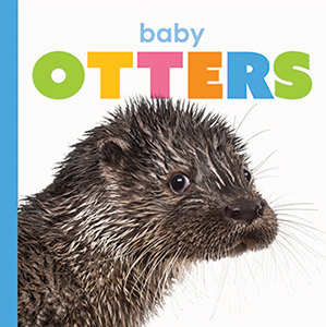 Cover Art for Baby Otters
