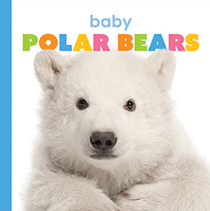 Cover Art for Baby Polar Bears