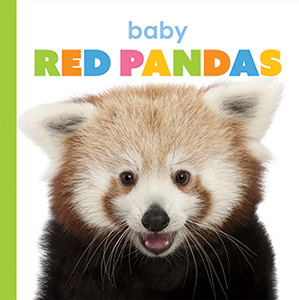 Cover Art for Baby Red Pandas