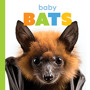 Cover Art for Baby Bats
