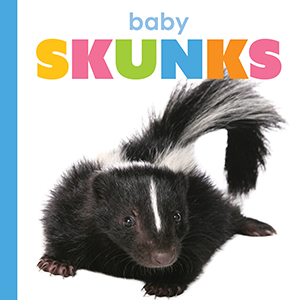 Cover Art for Baby Skunks
