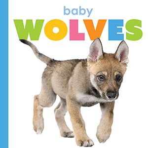 Cover Art for Baby Wolves