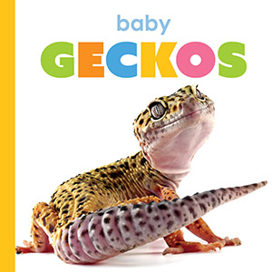 Cover Art for Baby Geckos