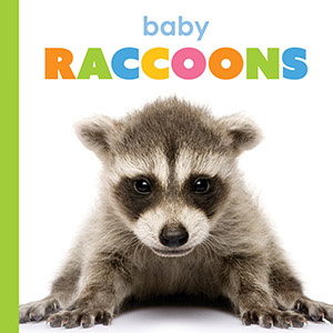 Cover Art for Baby Raccoons