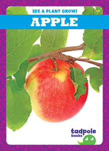 Cover Art for Apple