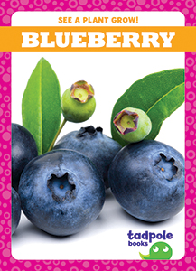 Cover Art for Blueberry