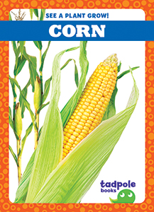 Cover Art for Corn