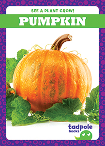 Cover Art for Pumpkin