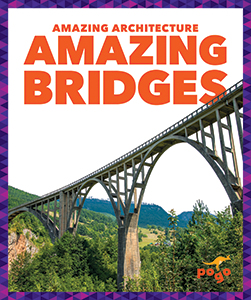 Cover Art for Amazing Bridges