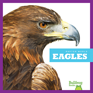 Cover Art for Eagles