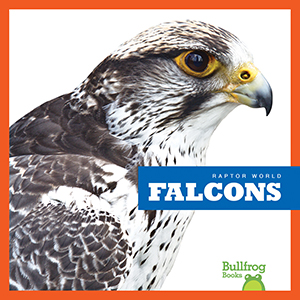 Cover Art for Falcons