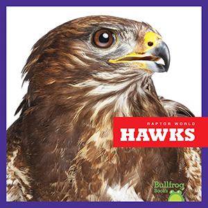 Cover Art for Hawks