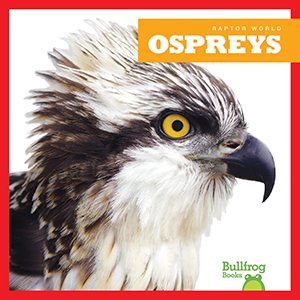 Cover Art for Ospreys