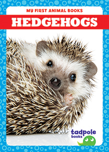 Cover Art for Hedgehogs