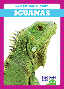 Cover Art for Iguanas