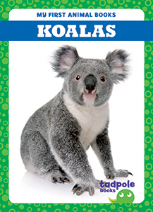 Cover Art for Koalas