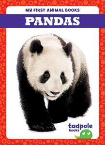 Cover Art for Pandas